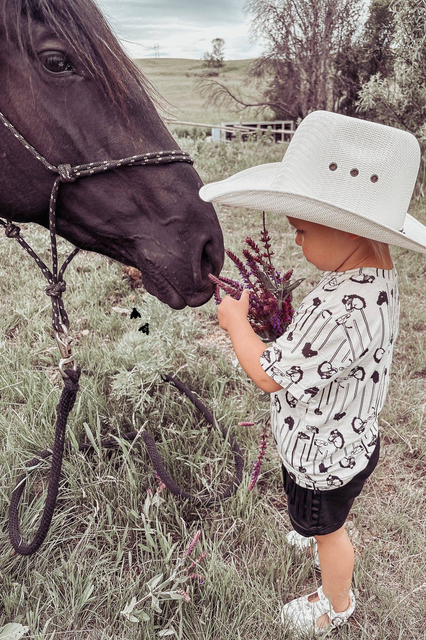 Pony Party [KIDS]